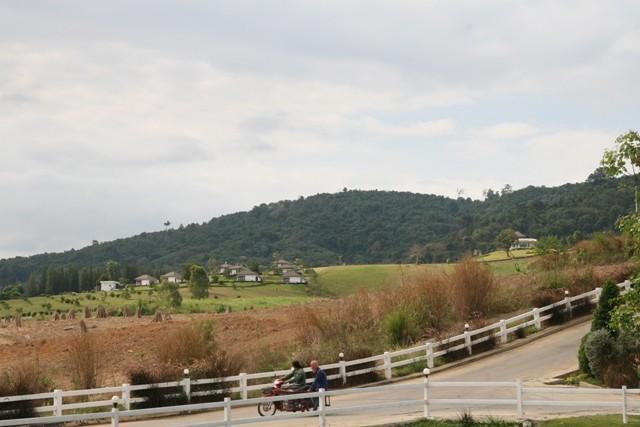 277750=9833-IMG_1862.jpg