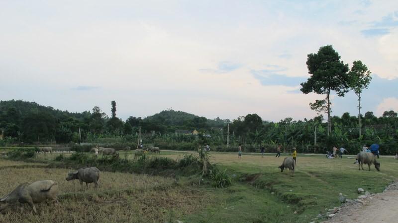 279210=10746-058.jpg