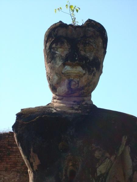 279272=10764-buddha%20small%203.jpg