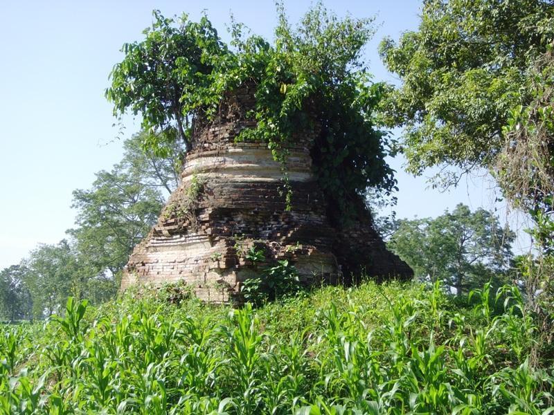 279272=10769-buddha%20small%208.jpg