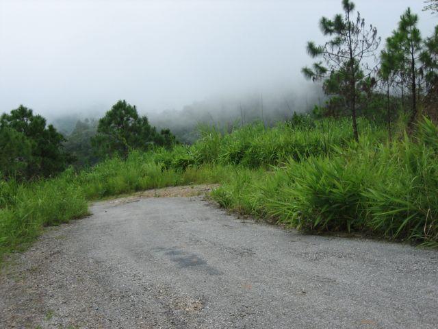 27_G_003.jpg