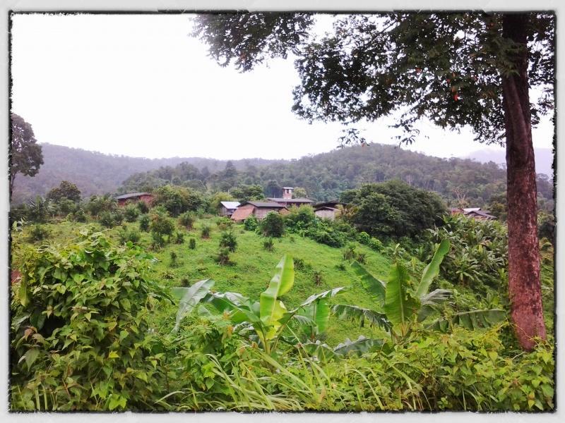 281230=11672-foto8.jpg