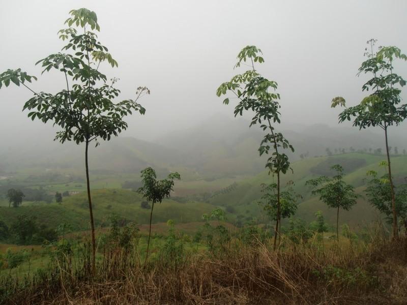 282580=12345-P9130472_resize.jpg