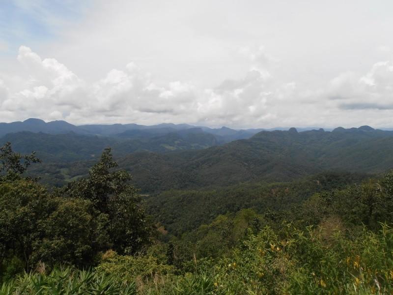 282784=12514-P9200520_resize.jpg
