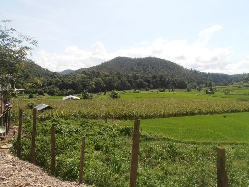 282786=12528-P9210567_resize.jpg