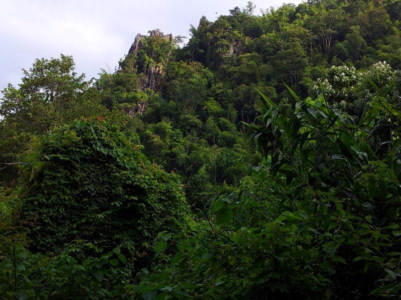 282885=12600-phrae%2050.jpg