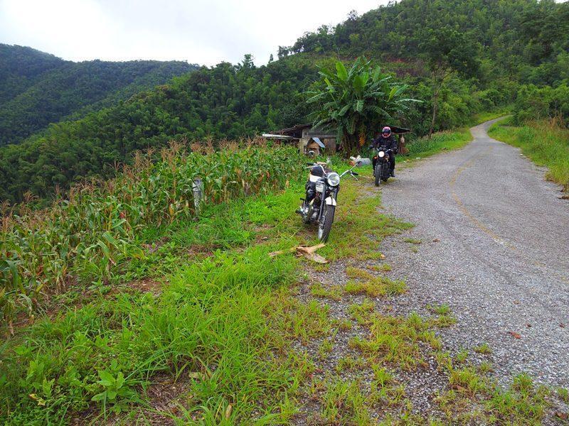 282885=12605-phrae%2055.jpg