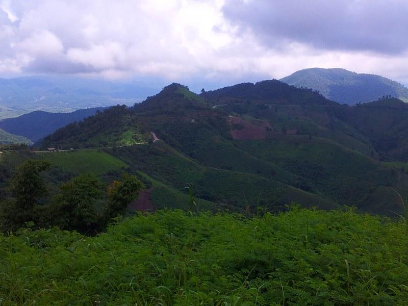 282885=12610-phrae%2060.jpg