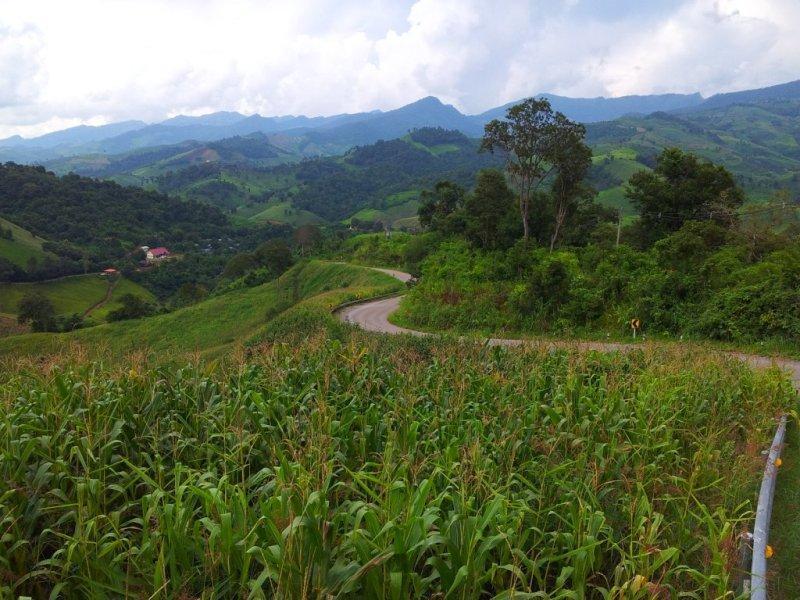 282885=12631-phrae%2081.jpg