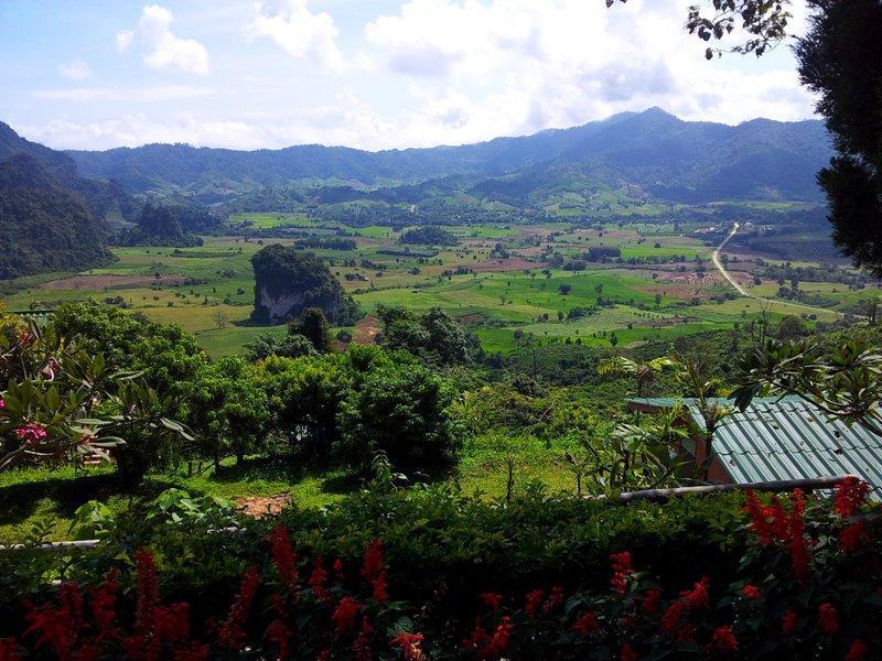 282885=12646-phrae%2011.jpg