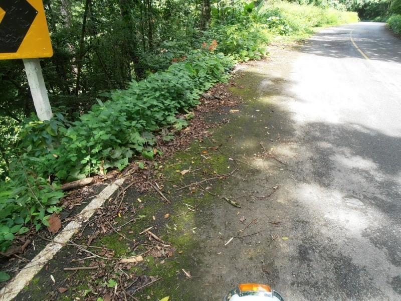 282921=12700-P9260679_resize.jpg
