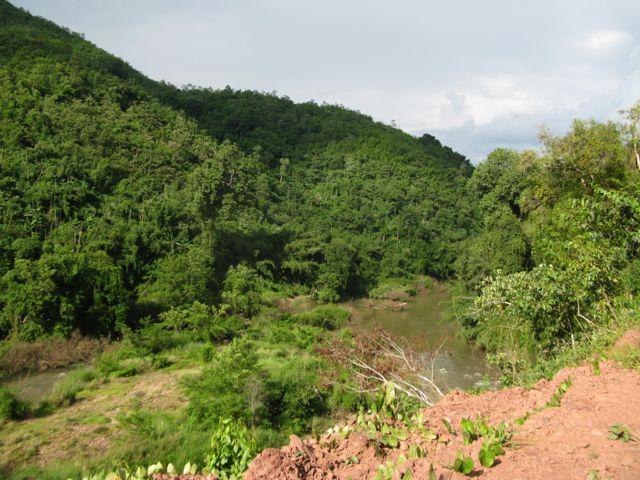 283789=13139-IMG_8341.jpg