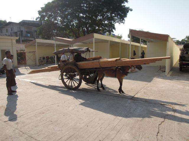 287026=14503-DSCN6660.jpg