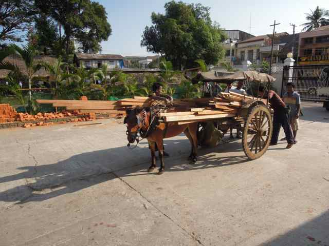 287026=14504-DSCN6662%20copy.jpg