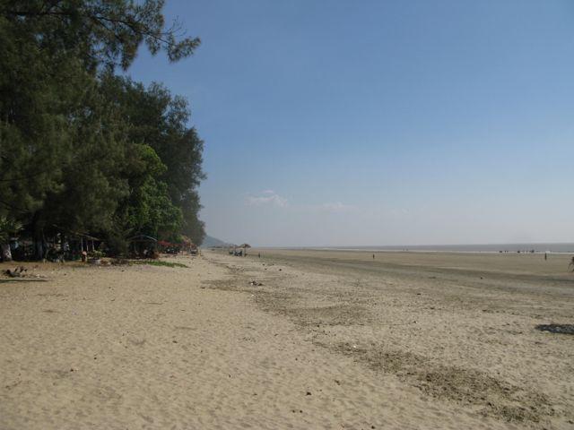 287026=14526-IMG_8727.jpg