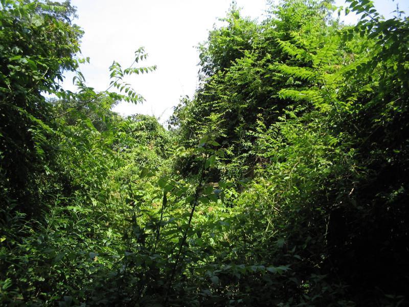 287255=14750-Moto%20trip2%20(138)_800x600.jpg