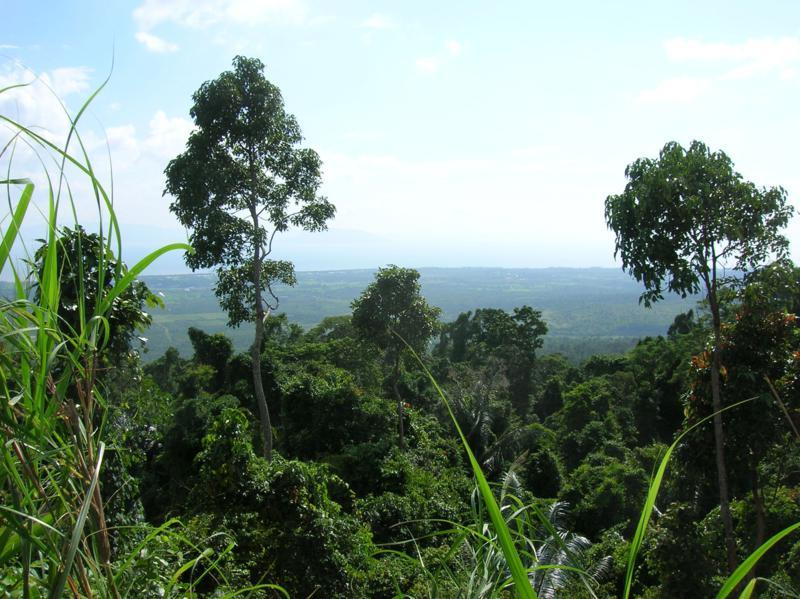 287259=14765-Cambodia%20(185)_800x599.jpg