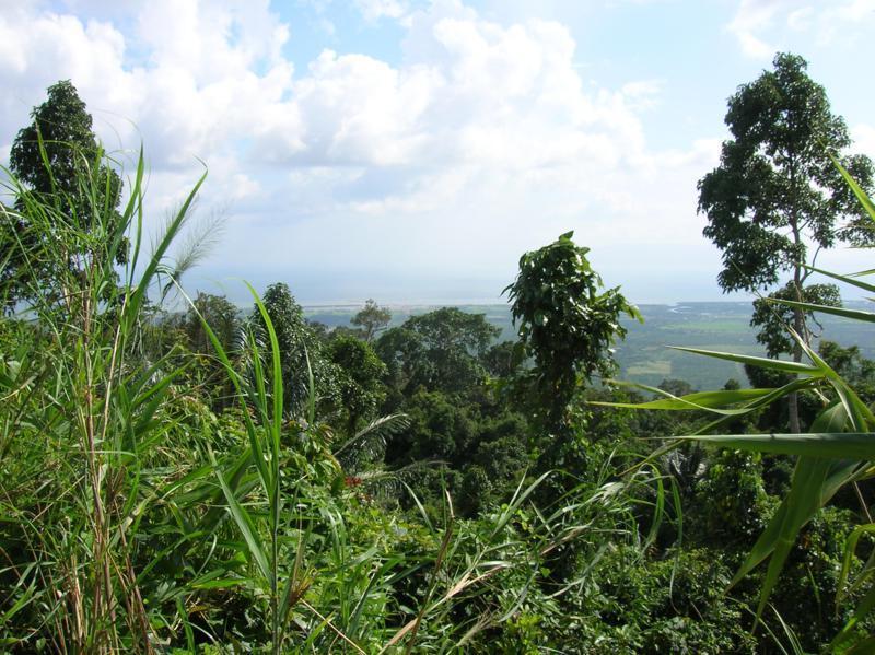 287259=14768-Cambodia%20(188)_800x599.jpg