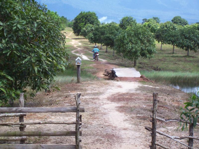 287259=14804-Cambodia%20(284)_800x600.jpg