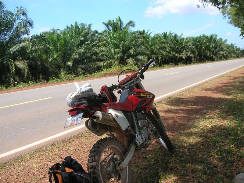 287259=14805-Cambodia%20(288)_800x599.jpg