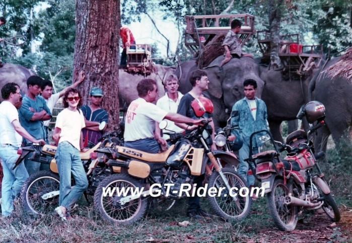 291257=16209-GTR-Elephants-PangHai-Late80sB.jpg