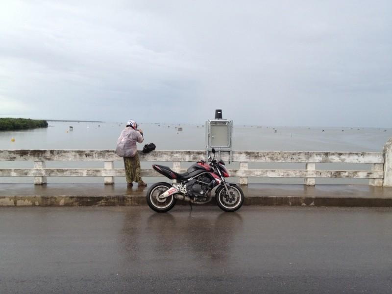 291785=16416-IMG_4299.jpg