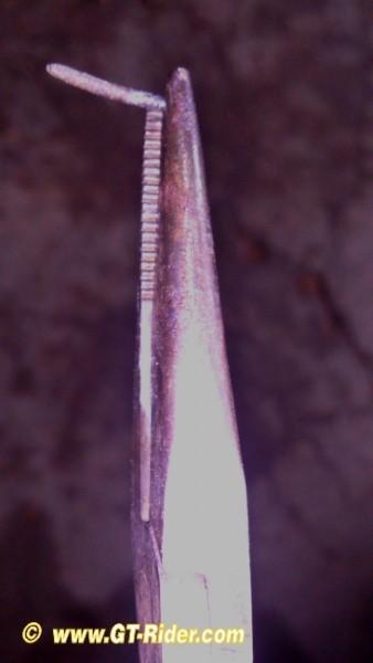 292420=16697-DSC_6094.jpg