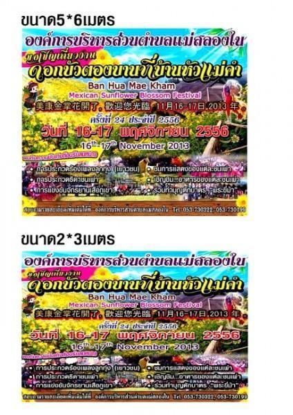 294071=17523-HMK%20Sunflower%20FEstival.jpg