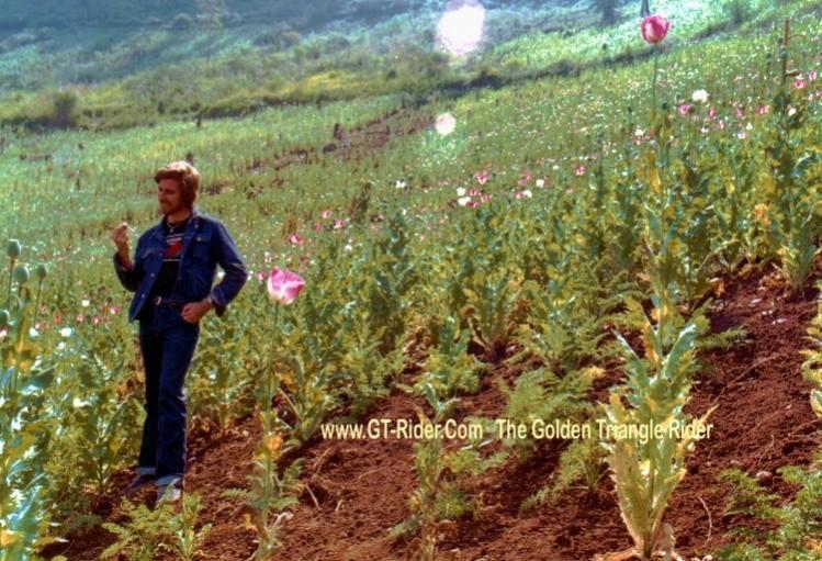 296486=18388-GTR-NongHoi-PoppyFields-2Feb1982.jpg