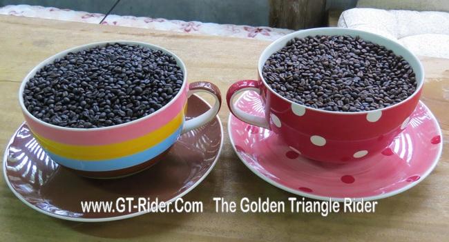 299335=19239-GTR-DoiTaengCoffee_19.jpg