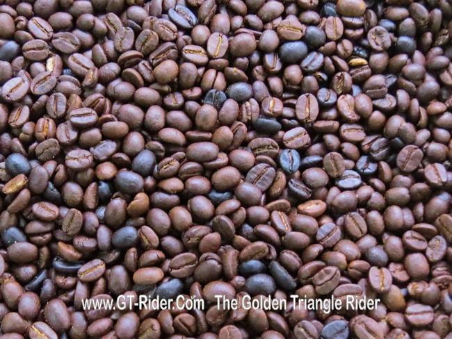 299335=19241-GTR-DoiTaengCoffee_20.jpg