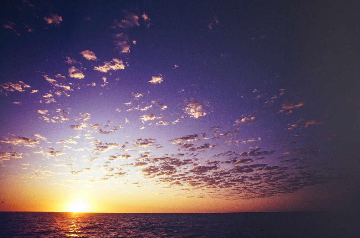 30006788563_7344f9b89b_k.jpg