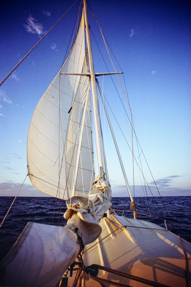 30008763974_ede65b3b5e_k.jpg
