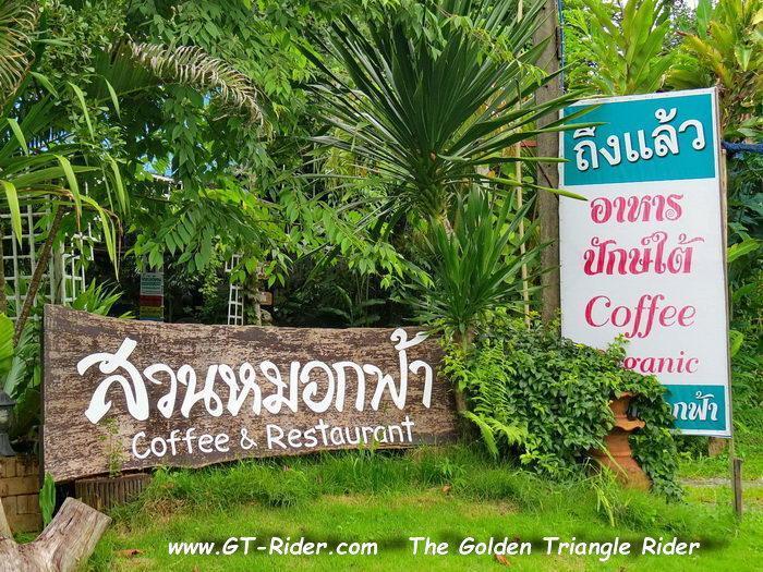 300643=22508-GTR-SuanMokfah-01.jpg