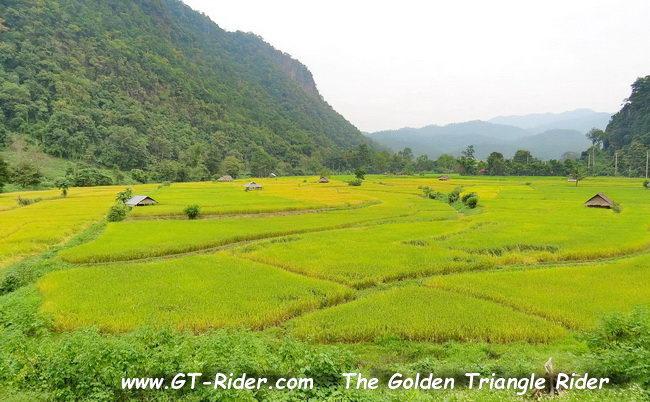302219=22505-GTR-ChangThai-MHS-05.jpg