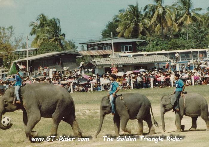 305311=22165-GTR-%20Surin%20Elephant%20Festival-1980%20-03-jpg.jpg