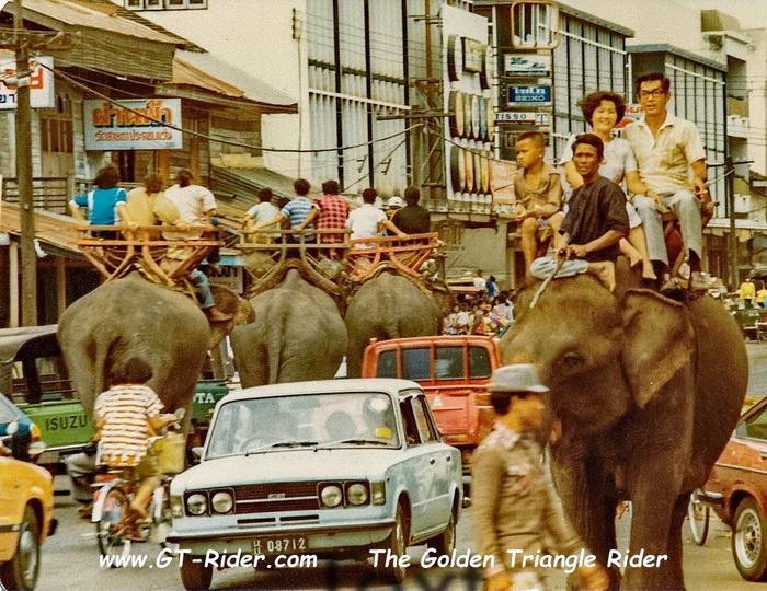 305312=22168-GTR-Surin-Elephant-02.jpg