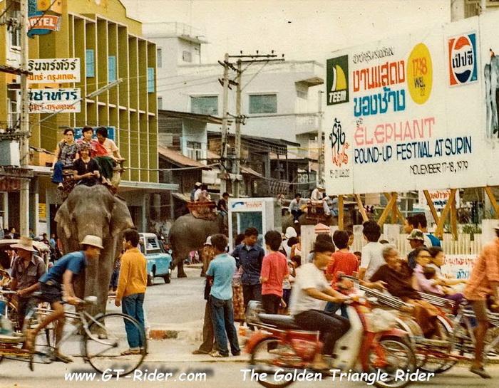 305312=22169-GTR-Surin-Elephant-01.jpg