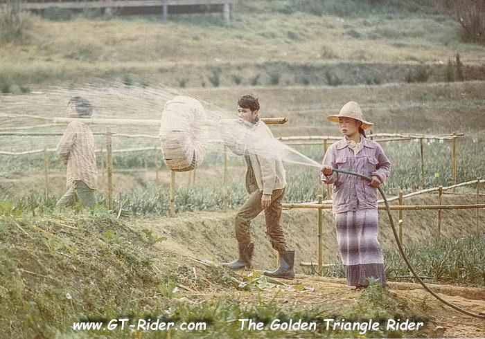 305342=22263-GTR-DoiAngKhang-Jan1982-18.jpg