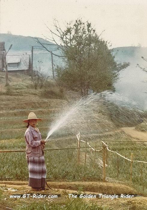 305591=22519-GTR-DoiAngKhang-Jan1982-16.jpg