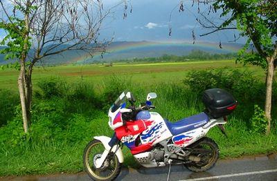 31971228-S.jpg