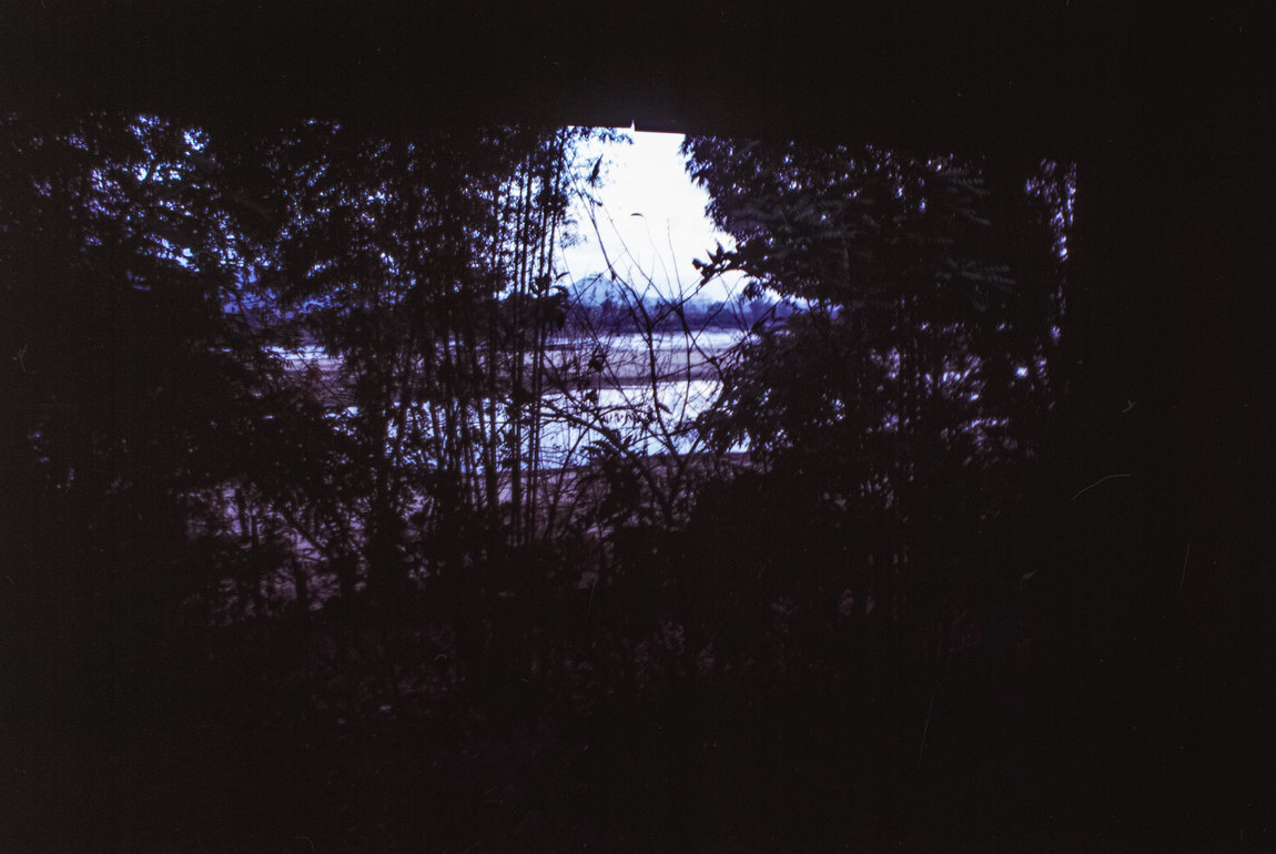 31977194536_99e083b608_k.jpg