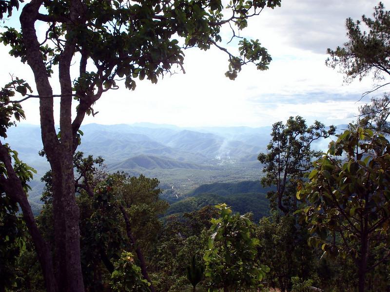 323486708_rws2R-L.jpg