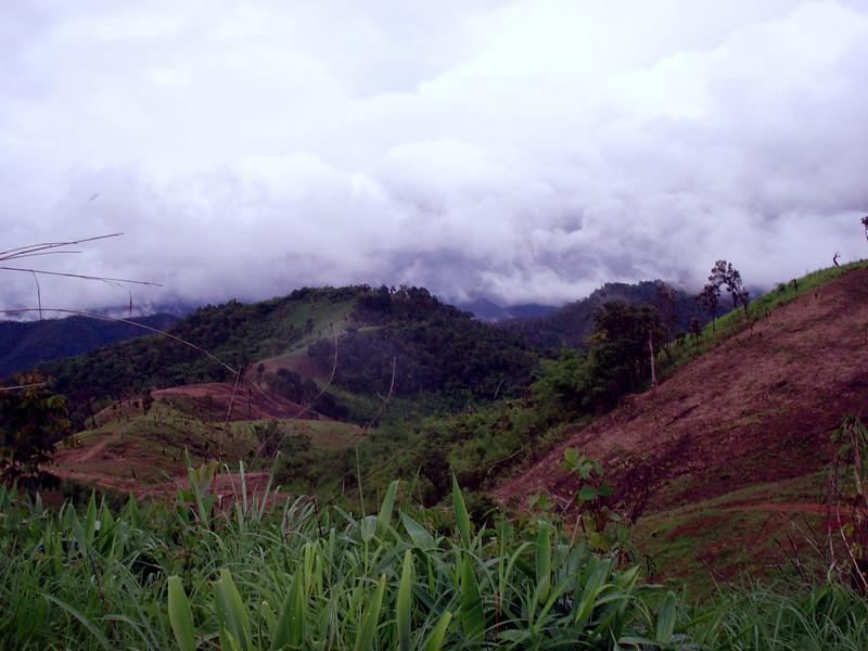323522070_kZBgG-L.jpg