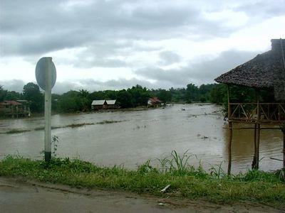 32679852-S.jpg