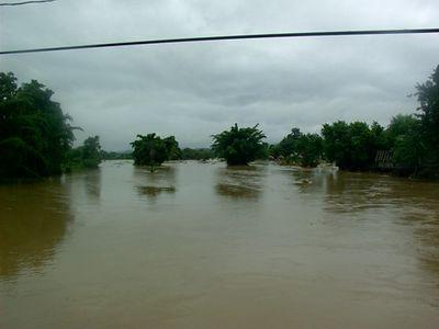 32679854-S.jpg
