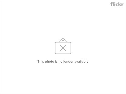 3287396383_f31b11a695_o.png