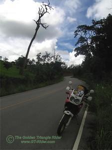 339707782_74tve-S.jpg