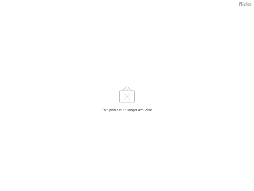 3768459452_e6cfcfb6bb_o.png