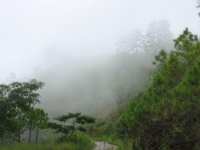 37_G_002.jpg